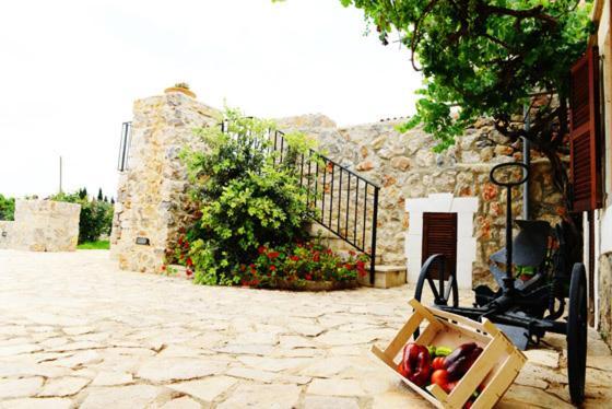 Holiday Home Finca Son Ramon Llubi Luaran gambar